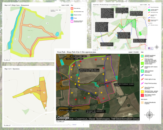 woodland management planning